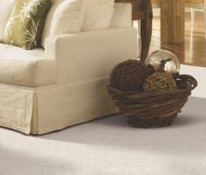 Carpet